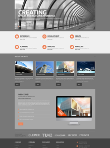WordPress - WP31