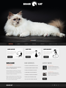 WordPress - WP1900
