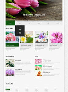 WordPress - WP2086