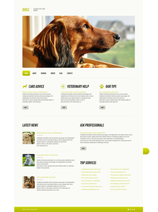 WordPress - WP2215