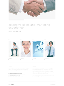 WordPress - WP2295
