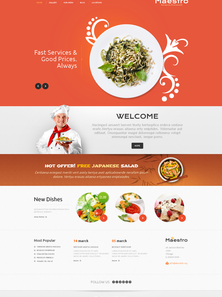 WordPress - WP2312