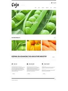 WordPress - WP2321