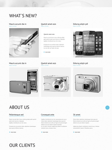 WordPress - WP2356