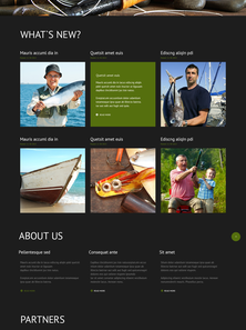 WordPress - WP2358
