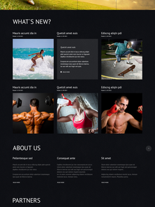 WordPress - WP2359
