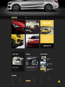 WordPress - WP2366