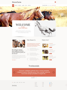 WordPress - WP2377