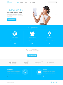 WordPress - WP2393