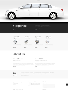 WordPress - WP2398