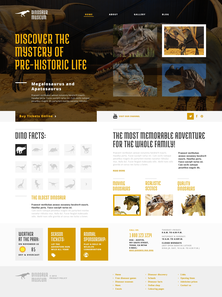 WordPress - WP2411