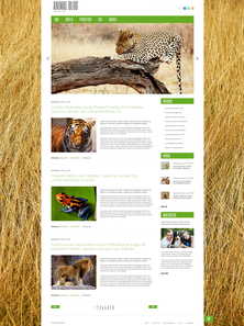 WordPress - WP2419