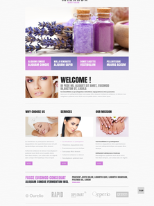WordPress - WP2434
