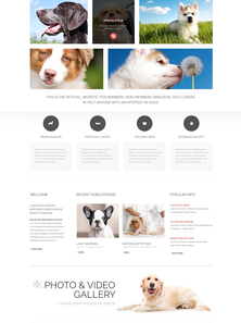 WordPress - WP2439