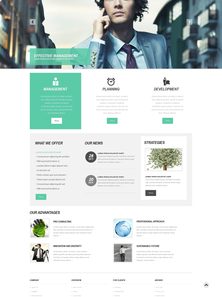 WordPress - WP2453