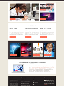 WordPress - WP2484
