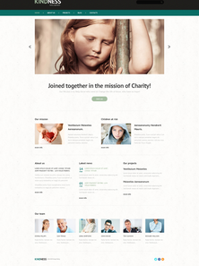 WordPress - WP2536