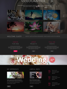 WordPress - WP2568
