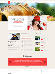 WordPress - WP2593