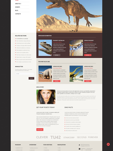 WordPress - WP2674