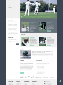 WordPress - WP2675