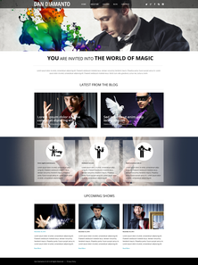 WordPress - WP2699