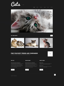 WordPress - WP2710