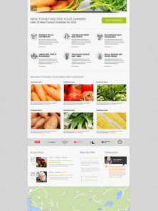 WordPress - WP2740