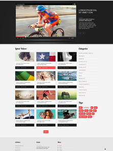 WordPress - WP2877