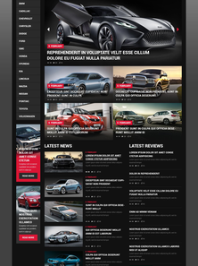 WordPress - WP2894
