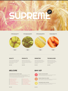 WordPress - WP2895