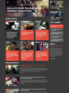 WordPress - WP2903