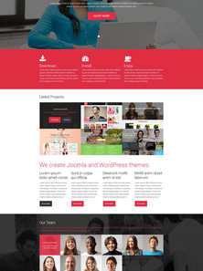 WordPress - WP2906