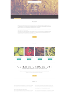 WordPress - WP2907
