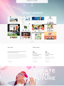 WordPress - WP2927