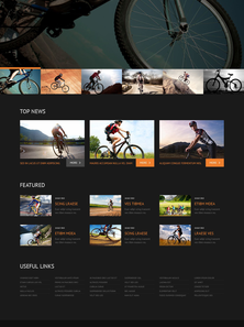 WordPress - WP2955
