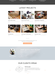 WordPress - WP2980
