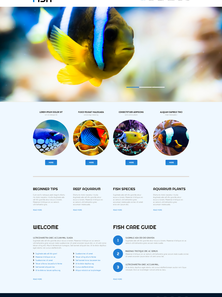 WordPress - WP3028