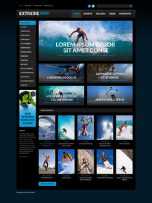 WordPress - WP3049