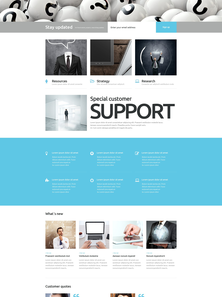 WordPress - WP3054
