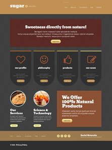 WordPress - WP3064