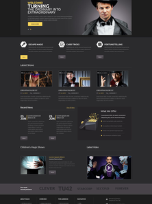 WordPress - WP3094