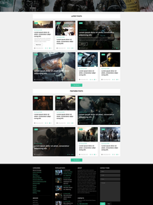WordPress - WP3137