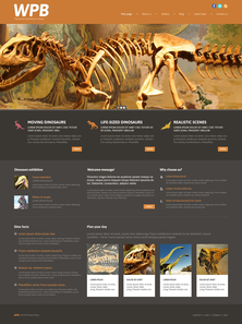 WordPress - WP3162