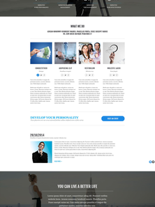 WordPress - WP3244