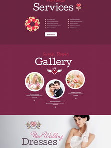 WordPress - WP3249