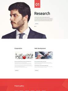 WordPress - WP3250