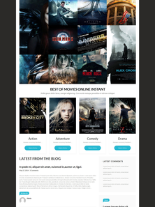 WordPress - WP3272