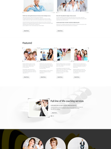 WordPress - WP3290