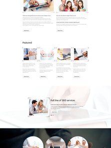WordPress - WP3291